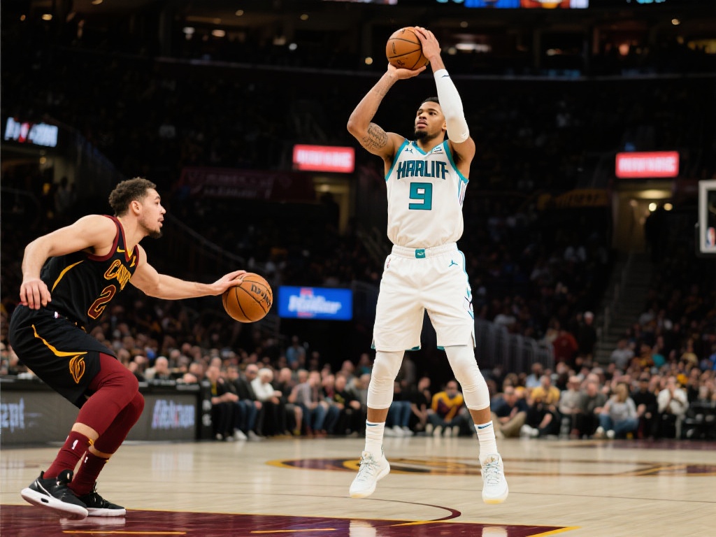 这里找到属 这里找到属